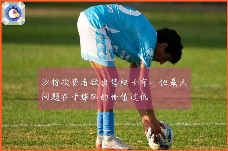 沙特投资者欲出售纽卡布，但最大问题在于球队的价值过低