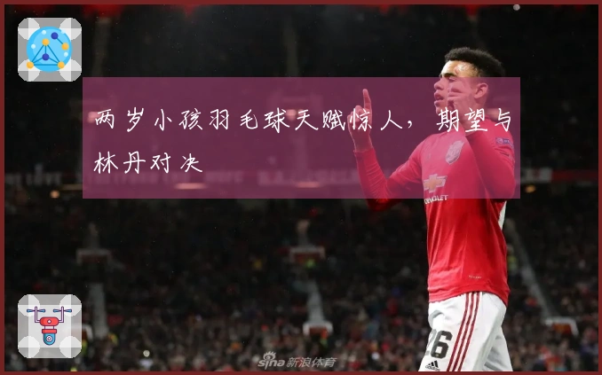 两岁小孩羽毛球天赋惊人，期望与林丹对决
